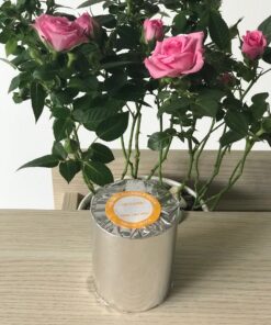 Giấy In Nhiệt OJI K80x65 mm